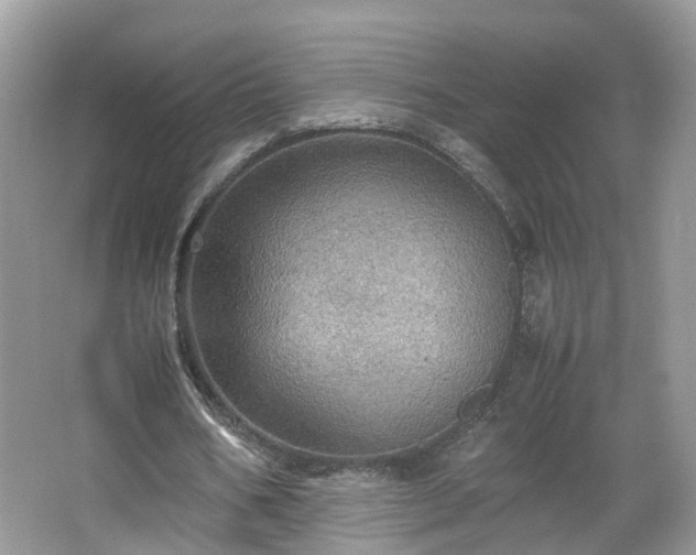 X0000067460578200604101135