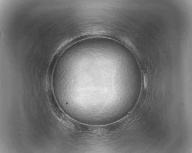 X0000067460579200604101135