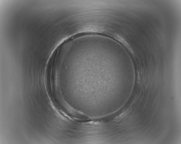 X0000067460580200604101135