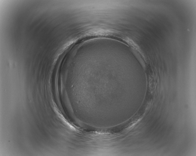 X0000067460581200604101135