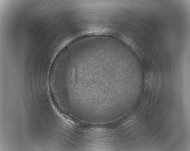 X0000067460582200604101135