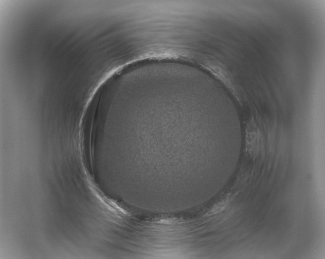 X0000067460584200604101135