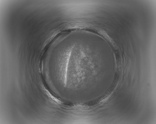 X0000067460585200604101135