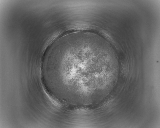 X0000067460586200604101135