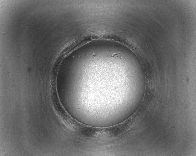 X0000067460591200604101135