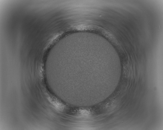 X0000067460592200604101135