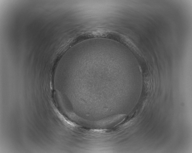 X0000067460593200604101135