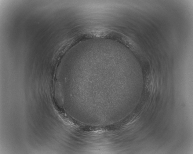 X0000067460594200604101135