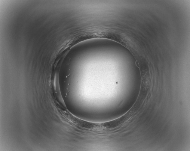 X0000067460595200604101135