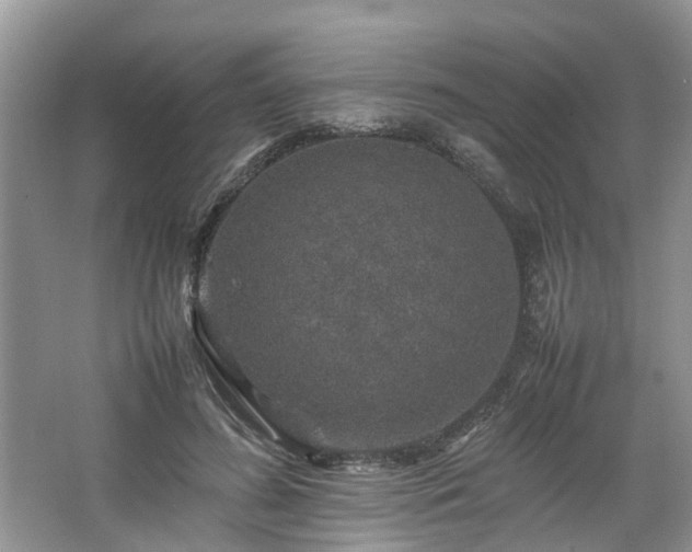 X0000067460596200604101135