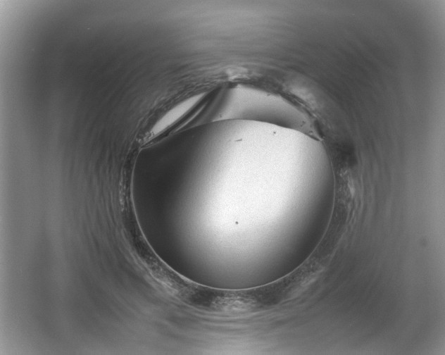 X0000067460597200604101135