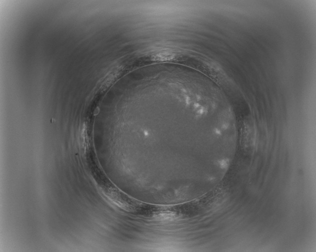 X0000067460598200604101135