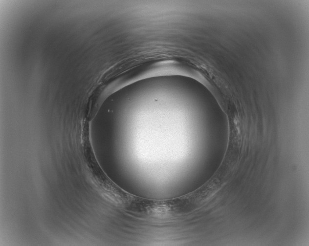 X0000067460600200604101135