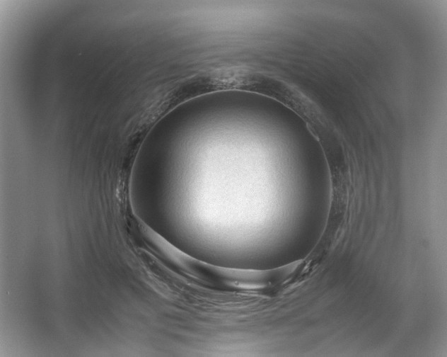 X0000067460601200604101135