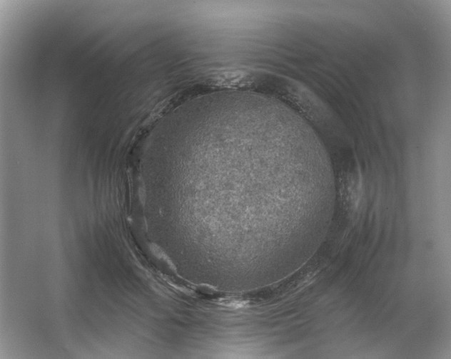 X0000067460602200604101135