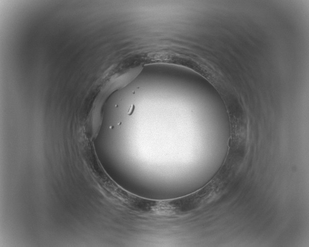 X0000067460603200604101135