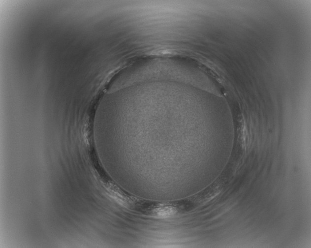 X0000067460604200604101135