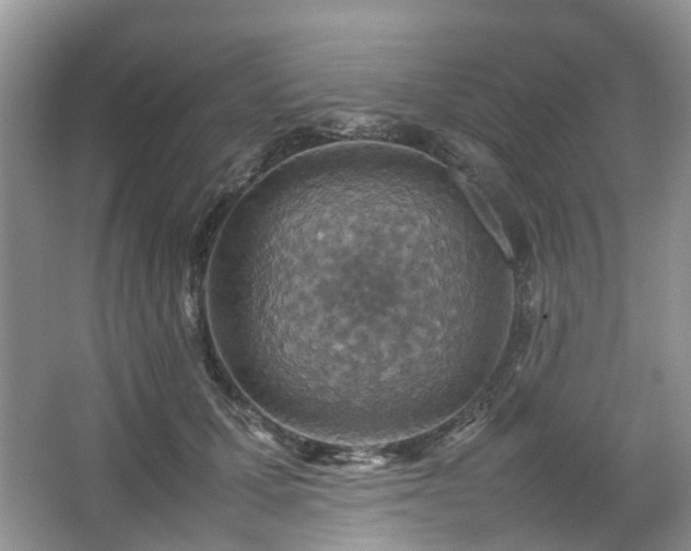 X0000067460607200604101135