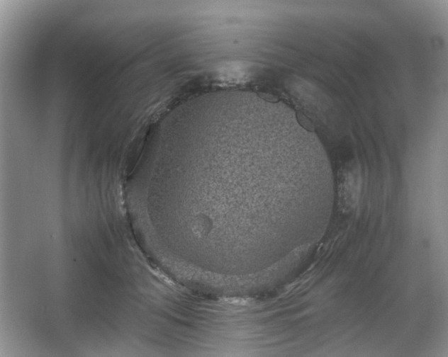 X0000067460608200604101135