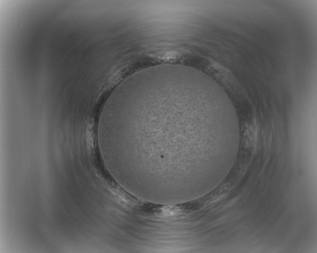 X0000067460612200604101135