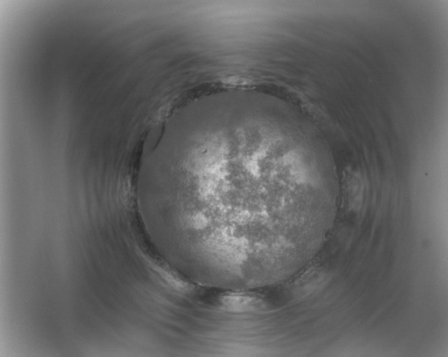 X0000067460614200604101135