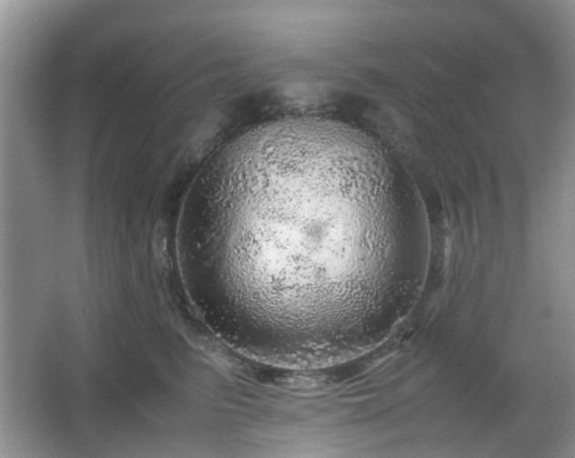 X0000067460615200604101135