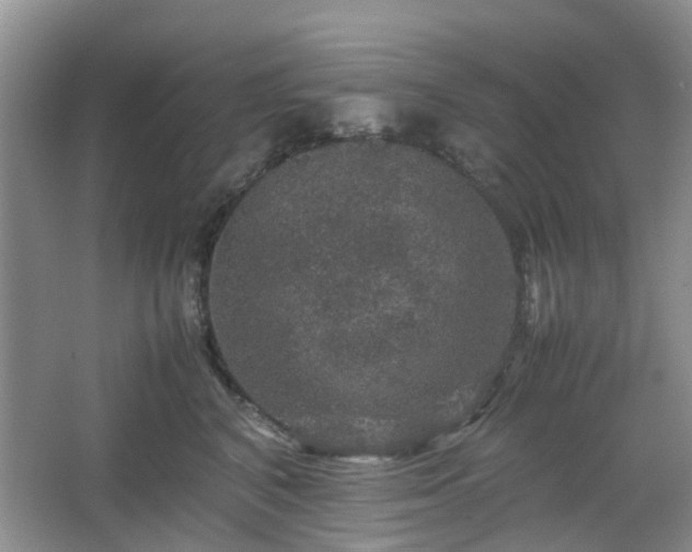 X0000067460616200604101134