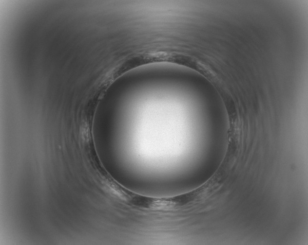 X0000067460617200604101134