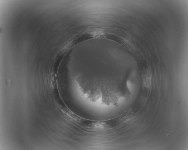 X0000067460618200604101134