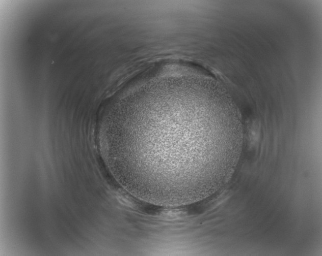 X0000067460619200604101134