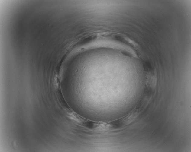 X0000067460621200604101134