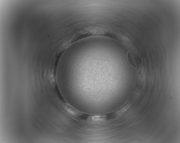 X0000067460622200604101134