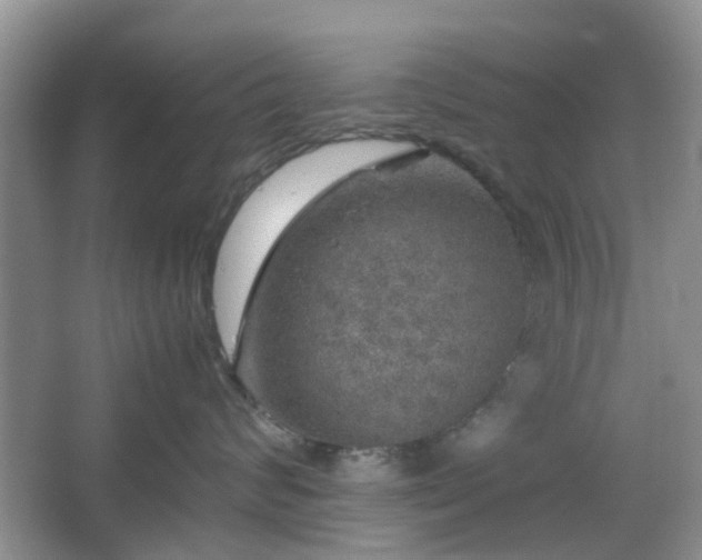 X0000067460624200604101134