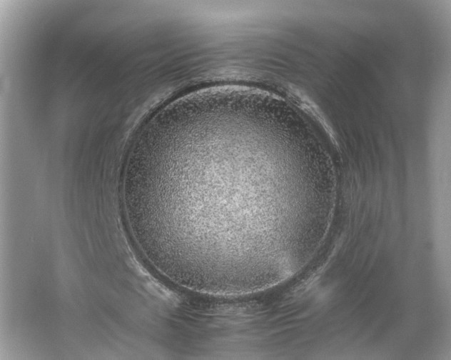 X0000067460625200604101134