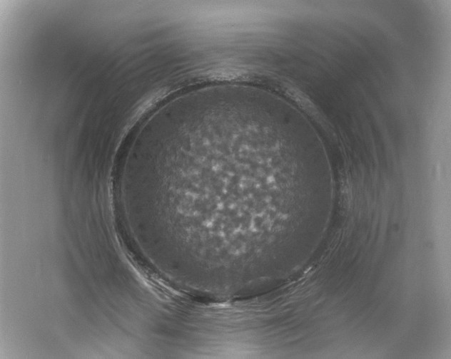 X0000067460626200604101134