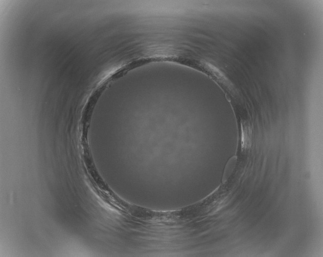 X0000067460627200604101134