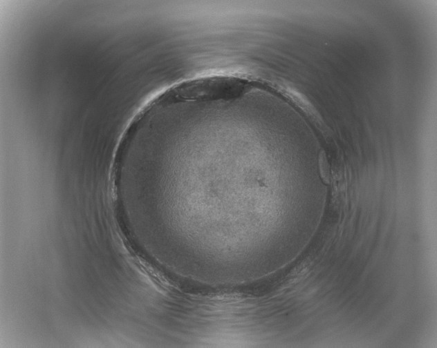 X0000067460628200604101134