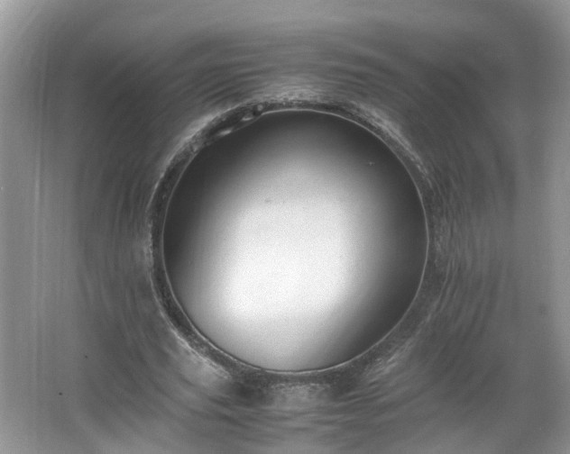 X0000067460629200604101134