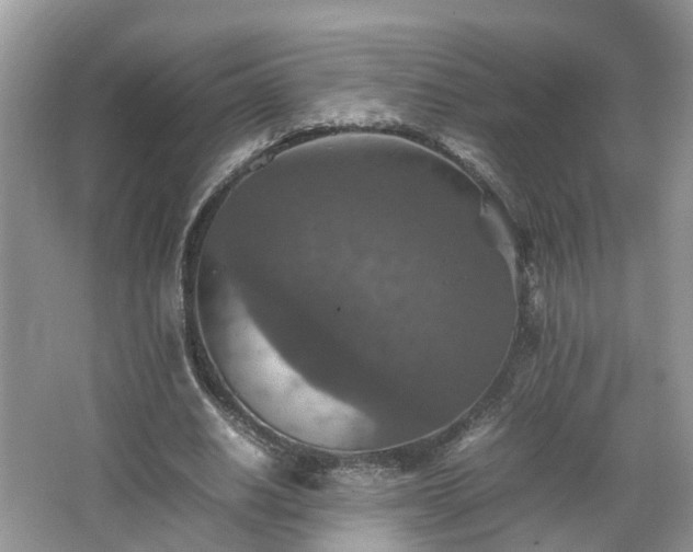 X0000067460630200604101134