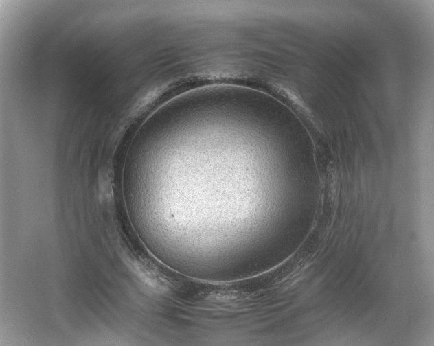 X0000067460631200604101134