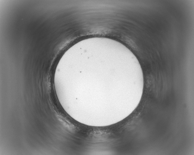 X0000067460632200604101134