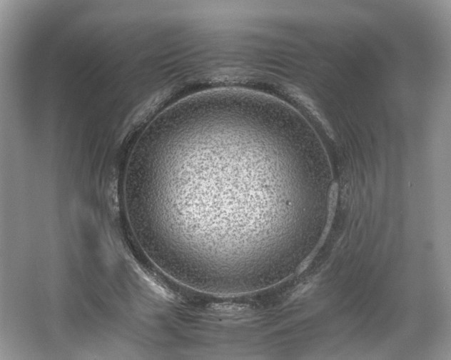 X0000067460633200604101134