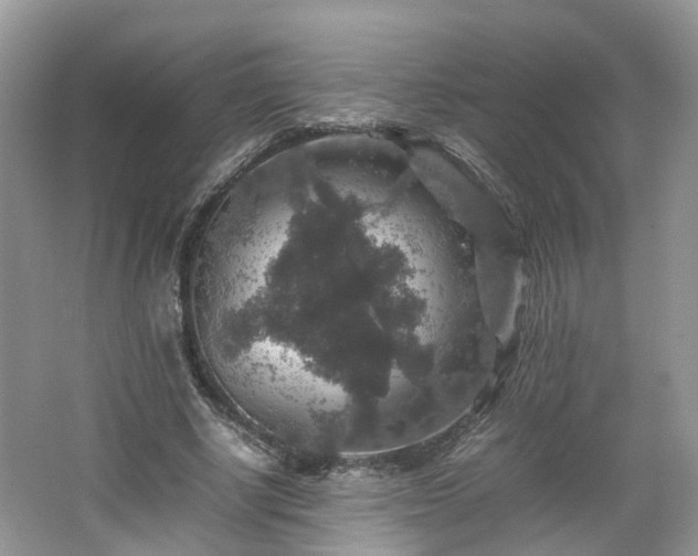 X0000067460634200604101134