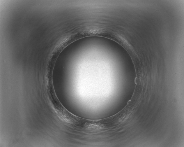 X0000067460635200604101134