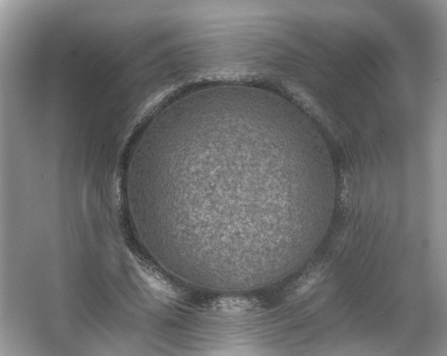 X0000067460636200604101134