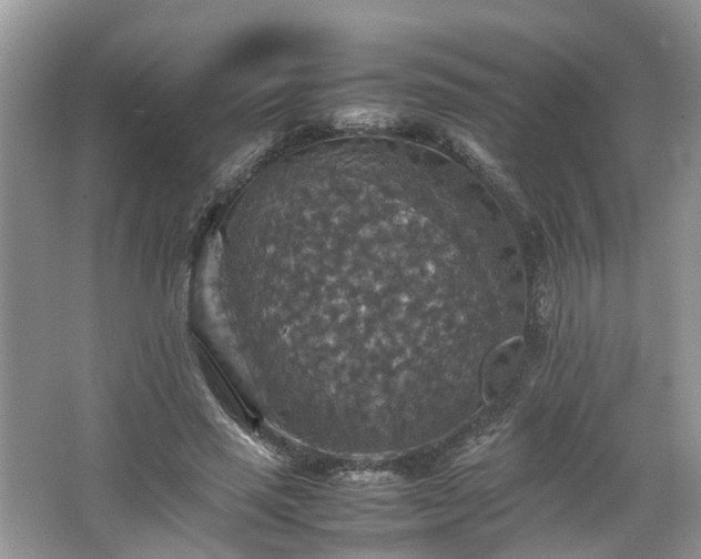 X0000067460637200604101134