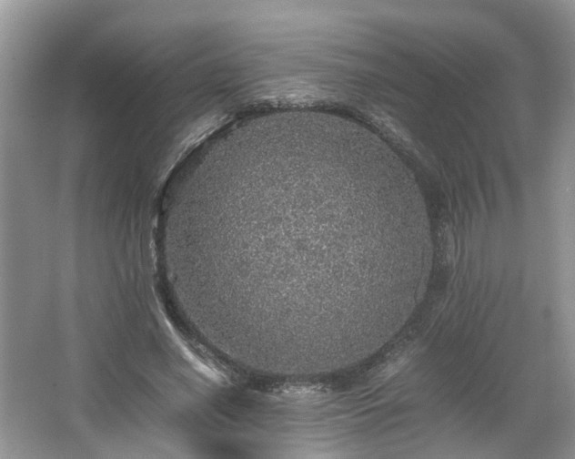 X0000067460638200604101134