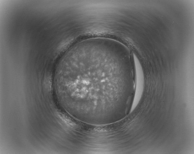 X0000067460640200604101134