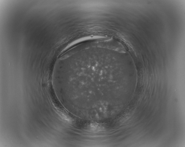 X0000067460641200604101134