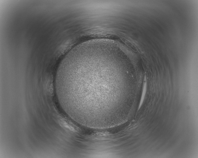 X0000067460642200604101134